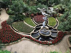 -南山植物园