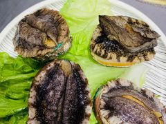 鲜活小鲍鱼-金龙·打边炉(武进路店)