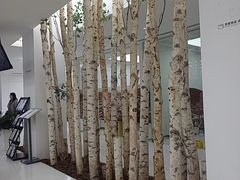 -极简口腔(总院)