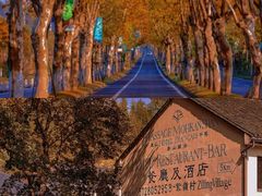 -莫干山风景区