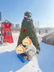 -268童话露营农场·烧烤·团建