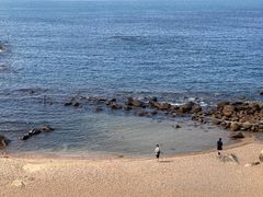 -广东惠东海龟国家级自然保护区