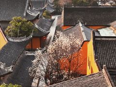 -龙华寺