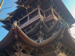 -杭州半山国家森林公园