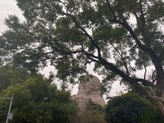 -橘子洲景区