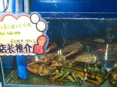 -蚝专家(北滘店)