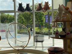 -飞行喵MR PILOT|猫舍·猫咖(静安大融城店)