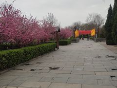 -大槐树寻根祭祖园