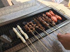 -吴淞炮台湾湿地森林公园烧烤区