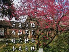 -杭州植物园