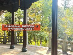 -八大山人梅湖景区