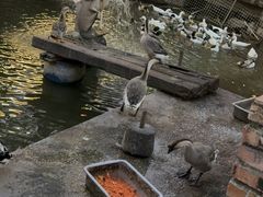 -香山小厨(南联路店)