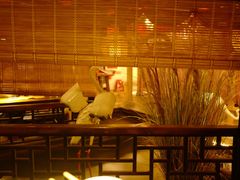 大堂-锦上中式酒馆(南内环店)