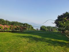 -深圳湾公园(南山区)