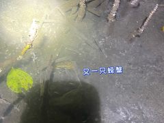 -月亮湾