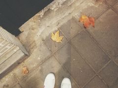 -小团圆糖水铺(襄阳南路店)