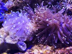 -海合安武汉极地海洋公园