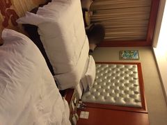iphone_upload_pic-圣爵菲斯大酒店(长沙世界之窗店)