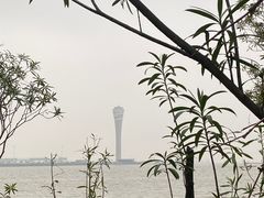 -上海吴淞炮台湾国家湿地公园