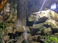 -曼哈顿商业广场(升龙广场店)