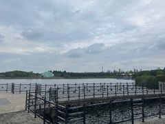 -上海都市菜园