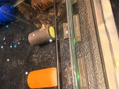 -the Roll'ING手作瑞士卷专门店(卓悦中心店)