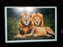 -罗红摄影艺术馆