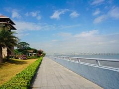 -大湾区中央湿地公园