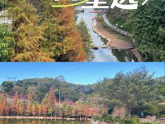 -广州市帽峰山景区