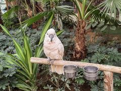 -南宫五洲植物乐园