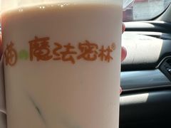 -猫的魔法密林(衣裳街店)
