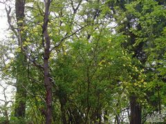 -北京小汤山医院体检中心