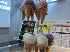 -野人先生现做冰淇淋(北京环宇荟店)