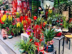 -溪岸路花鸟市场