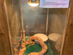 -上海大自然野生昆虫馆