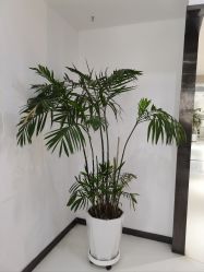 点击看大图 -可嘟儿家庭纪实摄影(南二环店)