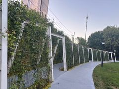 -大望京公园
