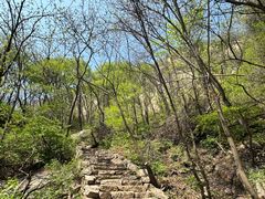 -大岭沟猕猴桃谷风景区
