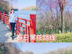 -西安汉城湖景区