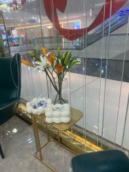 -CICI纤美·科技减肥美容