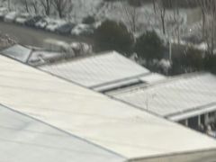 -珍记海鲜酒家(嵩山路店)
