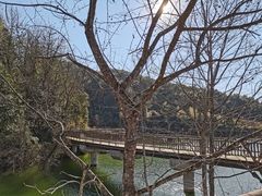 -梁野山景区