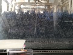 -临沂市三财石化加油站