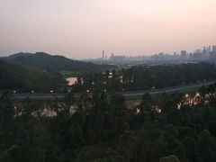 -深圳富临大酒店