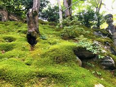 -常寂光寺