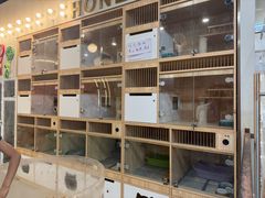 -Honey Bacca 哈尼芭卡高端萌宠(朝阳大悦城店)