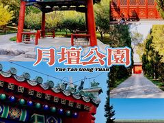 -月坛公园