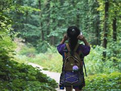-素山寺森林公园