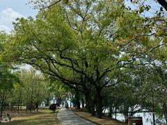 -东湖落雁景区