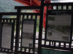 -太鲁阁公园